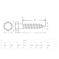 Edelstahl Din571 Hex Head Lag Lag Holzschraube